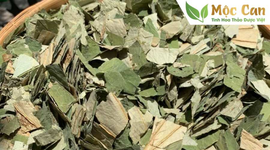 Tác dụng tuyệt vời của lá sen  2